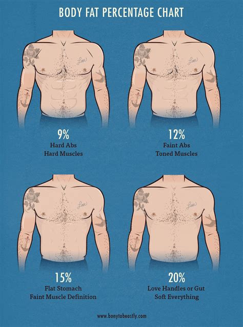 bf look|body fat percentage picture chart.